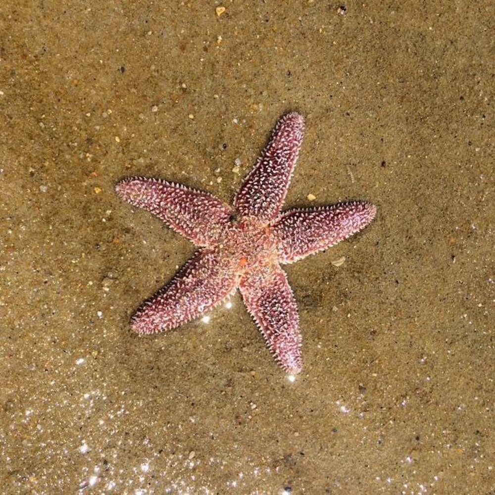 Meet your Posher, Kaitlin